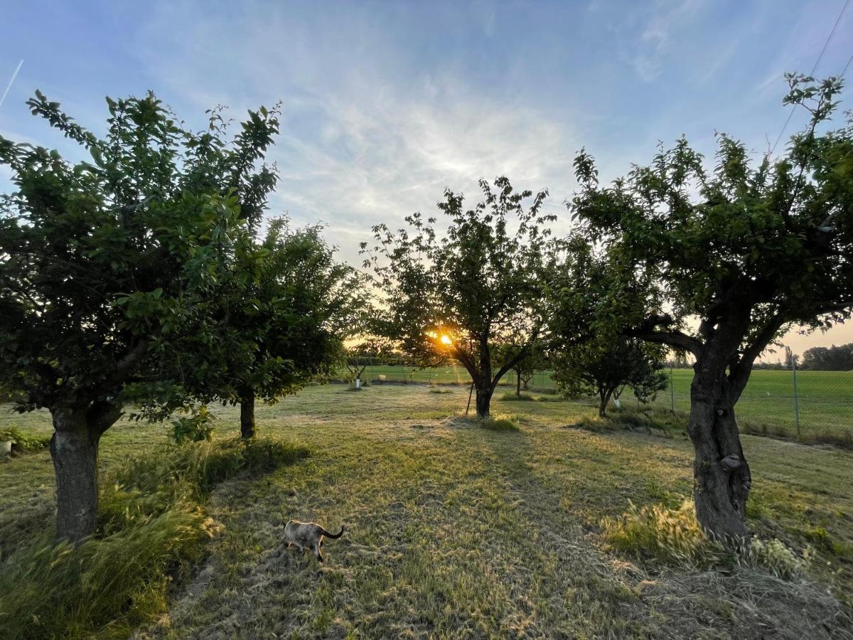 Malamu Bnb Eventi Rigosa Экстерьер фото